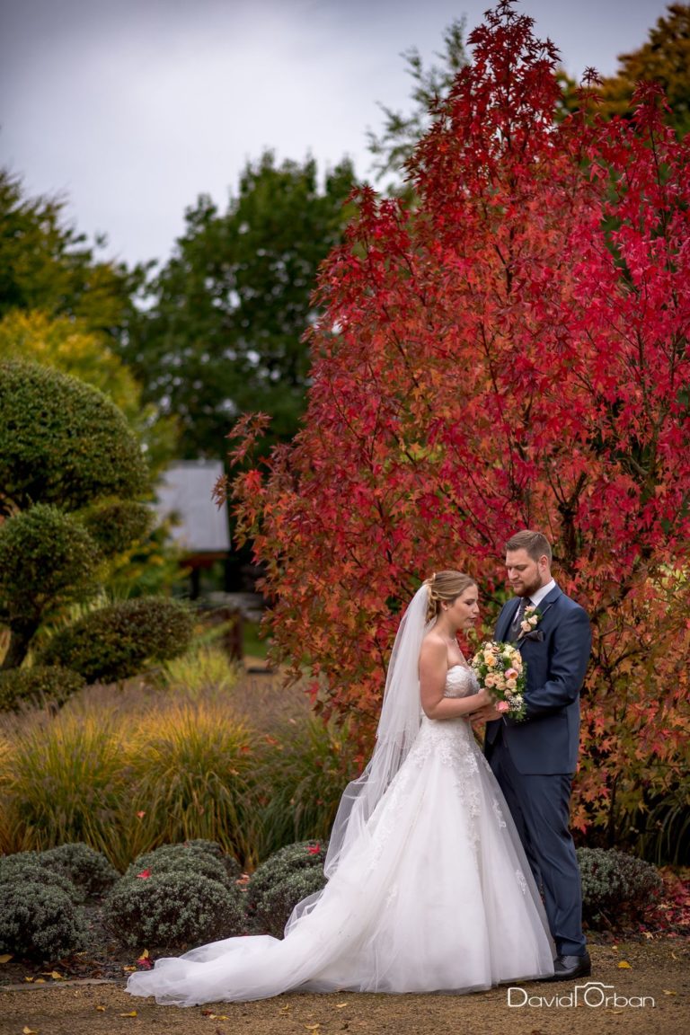 Photos De Mariage Par David Orban