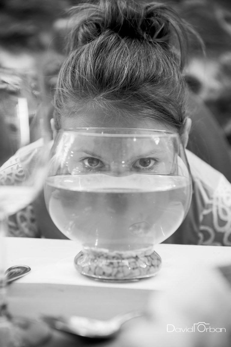 Photos De Mariage Par David Orban